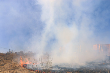 fire burning dry grass