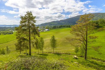 beautiful Norway scenery