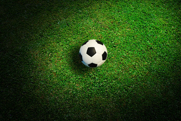 Football on the grass