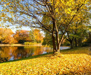 Autumn park with silent lake :)