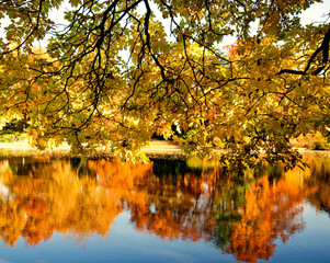 Herbst: Wasserspiegelung in ruhigem See :)