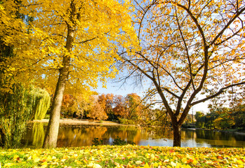 Autumn park with silent lake :)