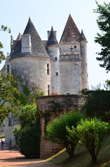 Fototapeta na wymiar Zamek we Francji