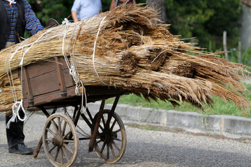 transport des canisses