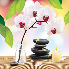Obraz na płótnie Canvas Vector Beautiful Spa Composition With Zen Stones