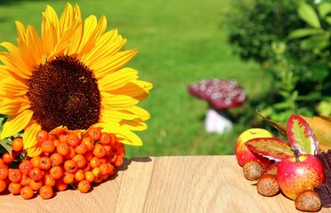herbstfrüchte im garten