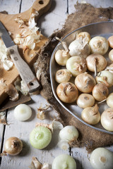 small golden onions with peel on rustic background with burlap