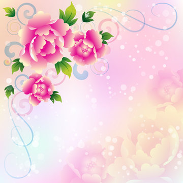 Beautiful background with roses