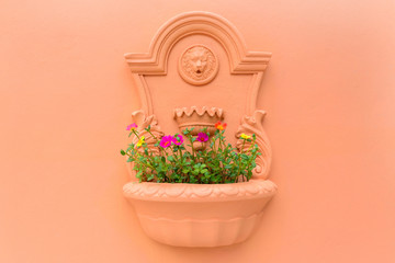flower pot on the wall