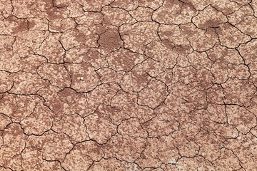 Cracked dry land. Ground without water