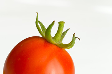 cherry tomato 1