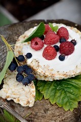 Grain bread with cheese and berries