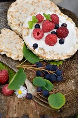 Grain bread with cheese and berries