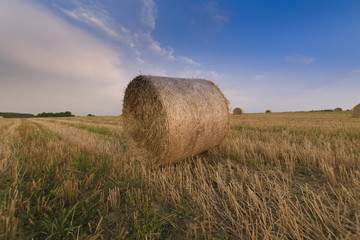 Słoma na skoszonym polu © Piotr Szpakowski