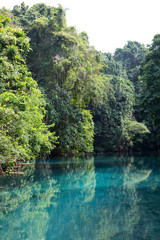 Blue Hole, Vanuatu