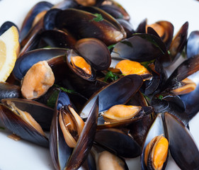 Mussels cooked in vine