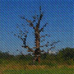 Tree image knit generated texture