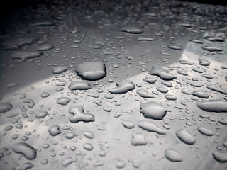 Gray Day