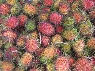 Rambutan