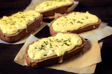 Tasty cheese sandwich