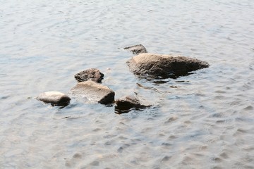 Felsen in der Elbe bei Magdeburg