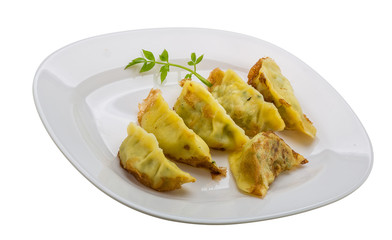 Japan dumplings - gyoza