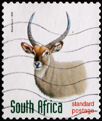 Postage stamp South Africa 1998 Waterbuck, Antelope