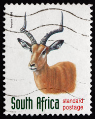 Postage stamp South Africa 1998 Impala, Antelope