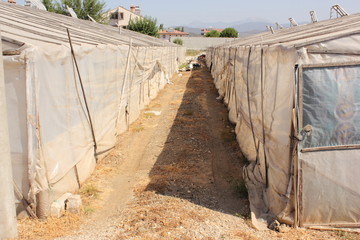 Rows of greenhouses in turkey