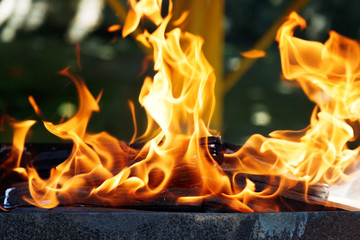 flames of burning wood in brazier