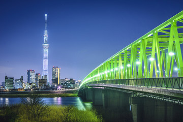 Fototapeta premium Tokyo, Japan with Skytree