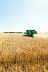 Fototapeta na wymiar harvesting ripe wheat in caucasus region