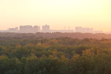 warm summer sunrise over urban houses and park