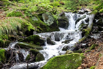 River in Carpathian mountains