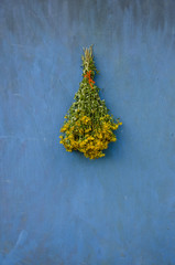 Bouquet bunch St John's wort hang on wooden wall