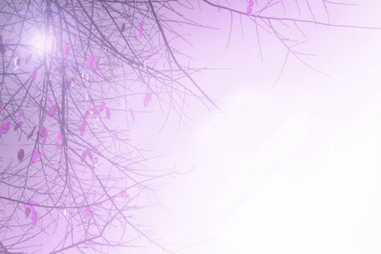 Abstract Purple tree branch background