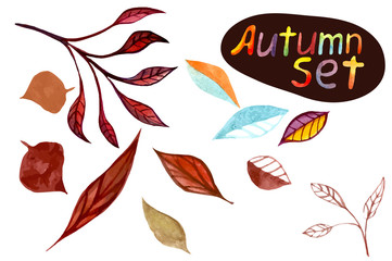 Watercolor autumn leaf set. Vector illustration