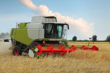 Wheat field with harvester