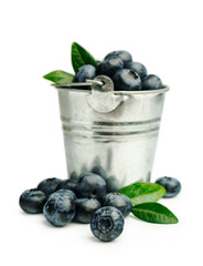 Fresh blueberries in a bucket