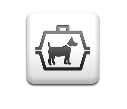 Boton cuadrado blanco 3D simbolo transporte de perros