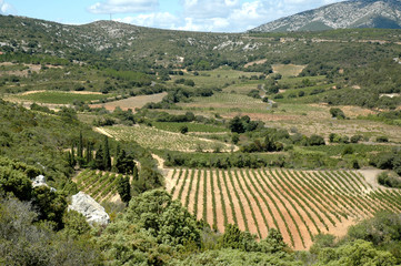 Corbières 4