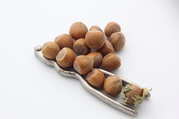 Noisettes et casse noix