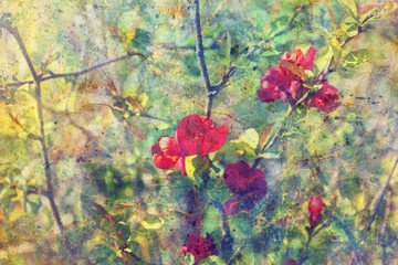 grunge messy watercolor splatter and twigs with red flowers