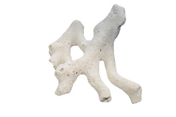 Obraz premium Corral 