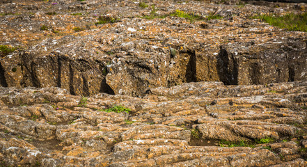 Thingvellir. Iceland.
