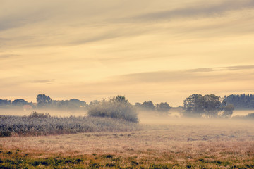 Fog over a countryside landscape