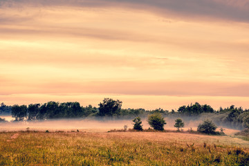 Fototapeta na wymiar Misty landscape an early morning