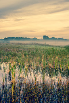 Misty landscape with a quiet lake