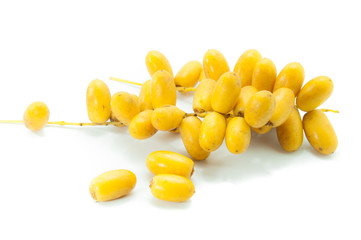 date palm (Phoenix dactylifera. L.).