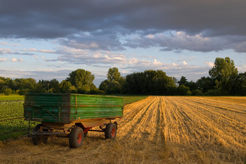 Fototapeta premium Landwirtschaft Traktor Anhänger